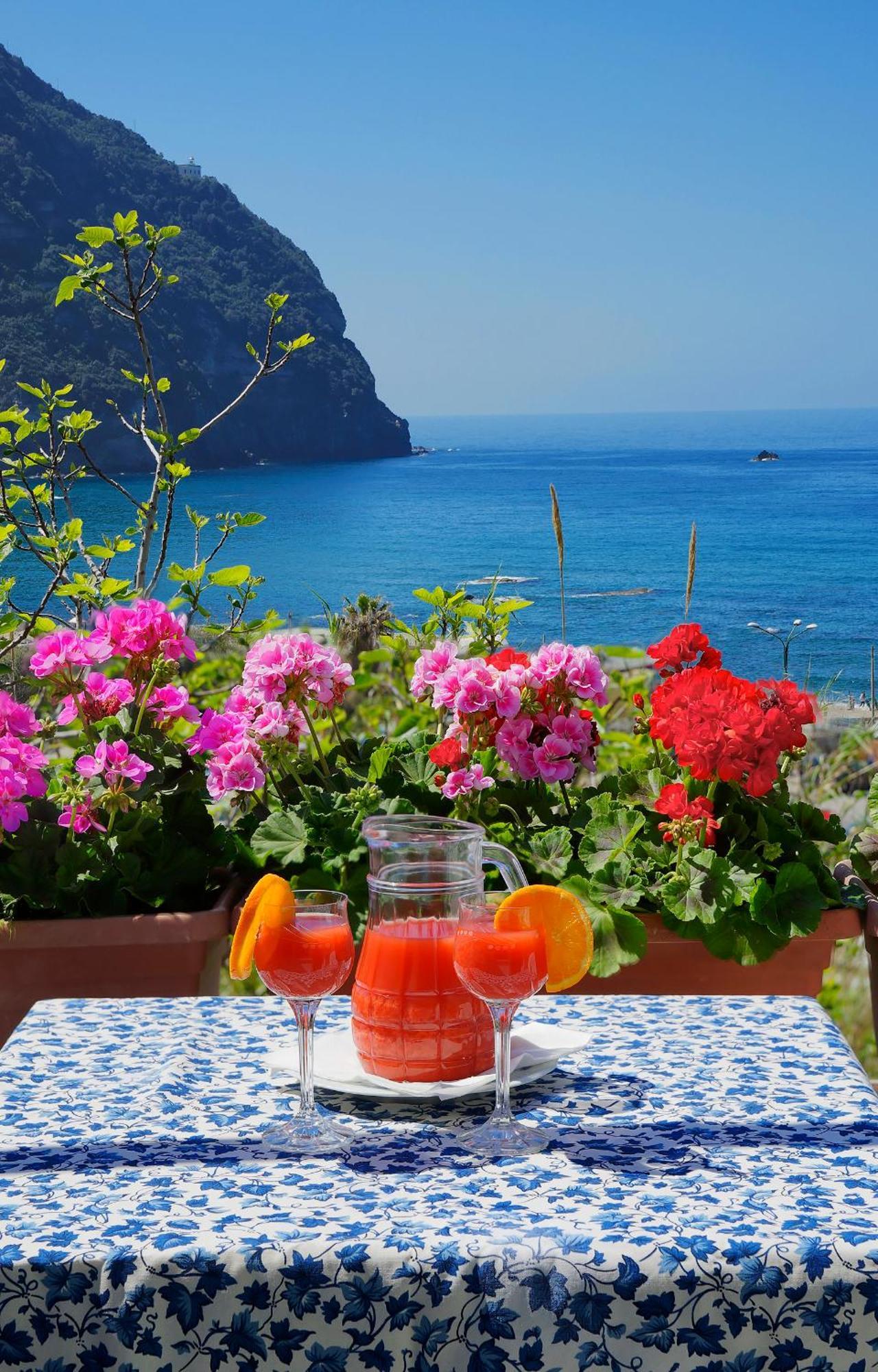 Hotel Casa Del Sole Forio di Ischia المظهر الخارجي الصورة